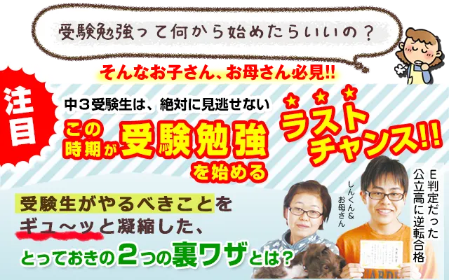 中3注目 受験生がやるべきことを凝縮したとっておきの勉強法とは 家庭教師のあすなろ