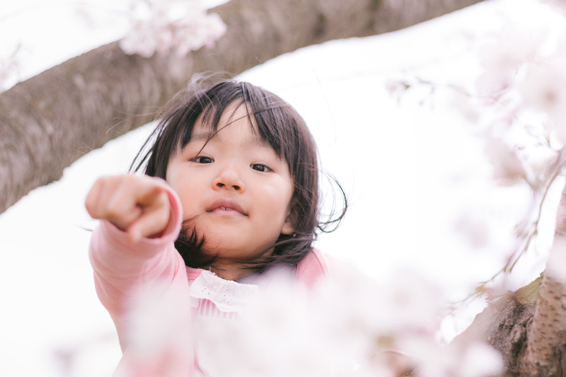 集中できないadhdの子を支援できる接し方 家庭教師のあすなろ