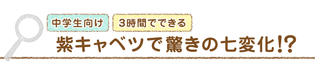 紫キャベツで驚きの七変化 自由研究のネタ