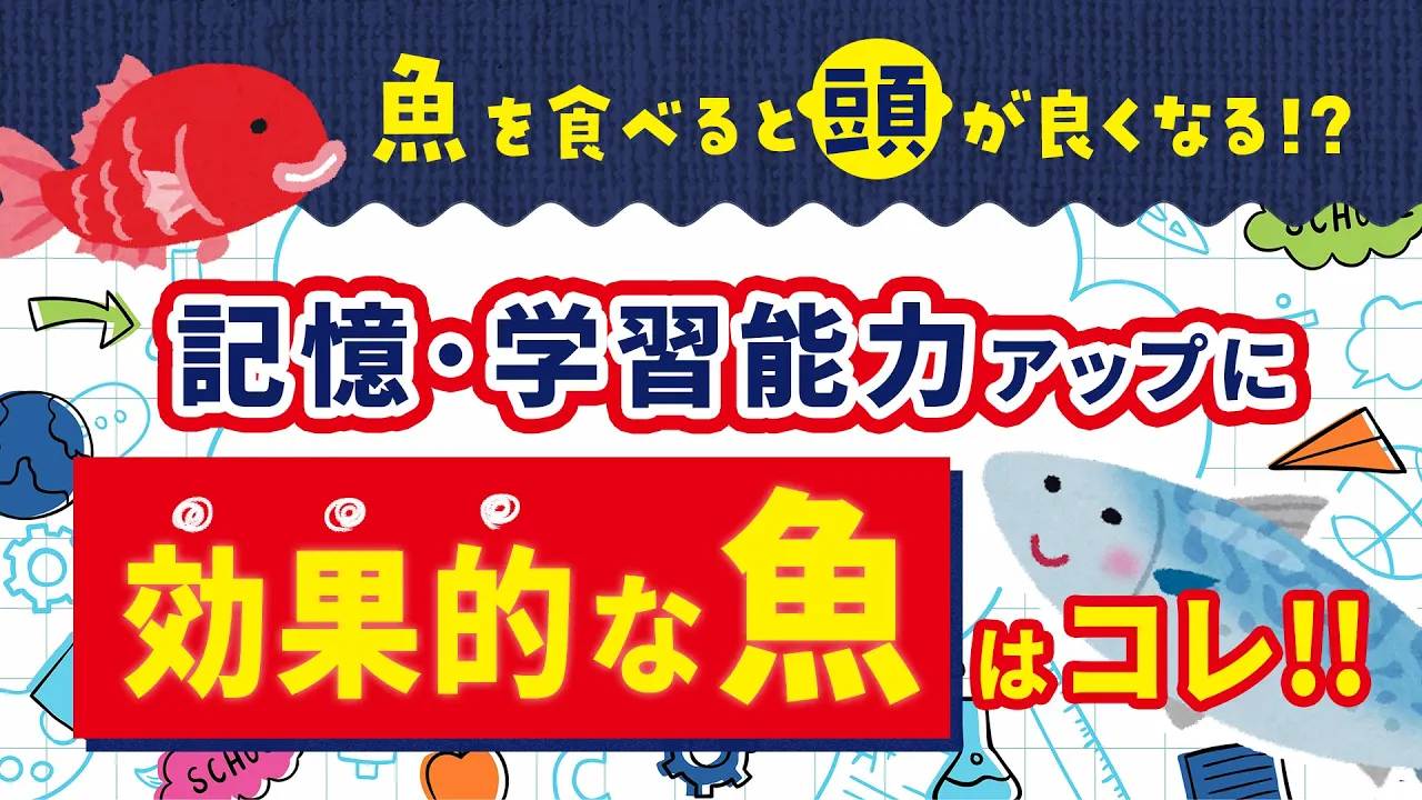 魚を食べると頭が良くなる！？特に○○を食べると効果的！！